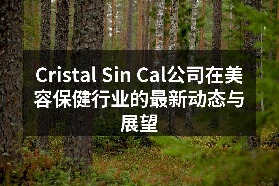 Cristal Sin Cal的智能皮肤检测系统